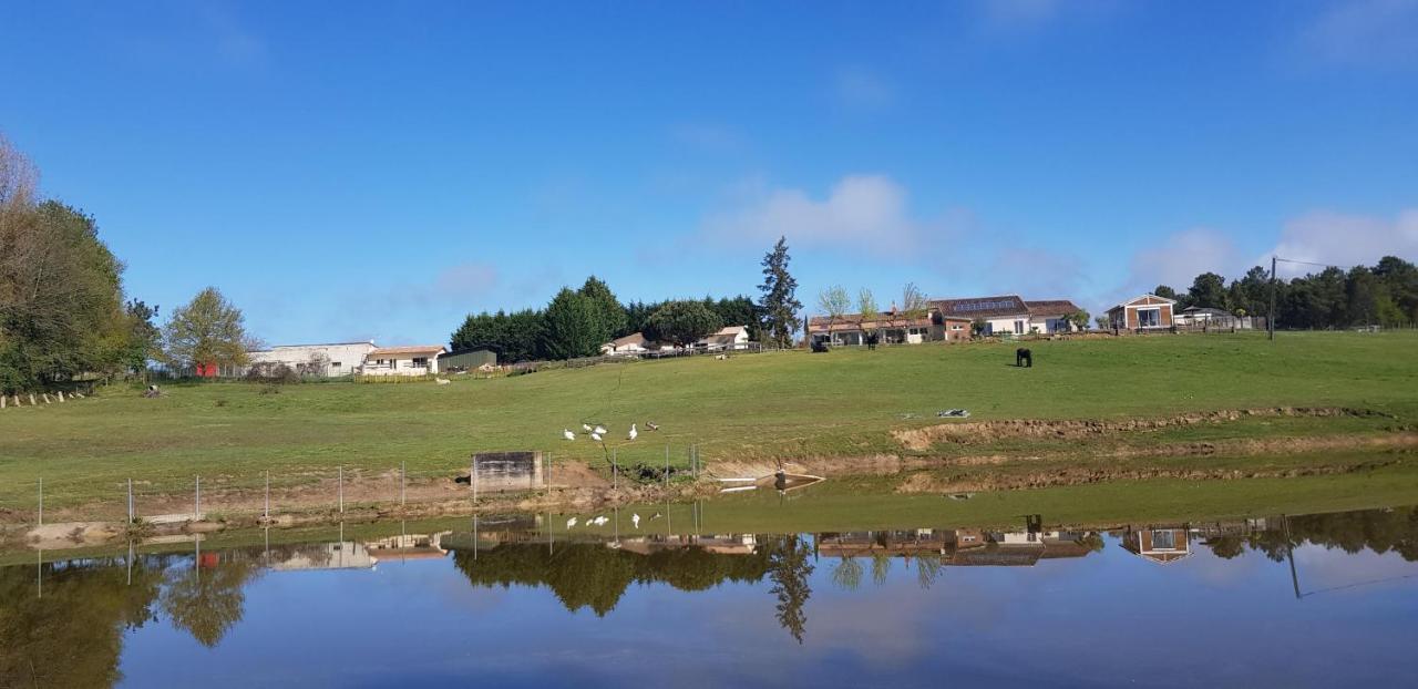 Domaine De La Bergerie Acomodação com café da manhã Périssac Exterior foto