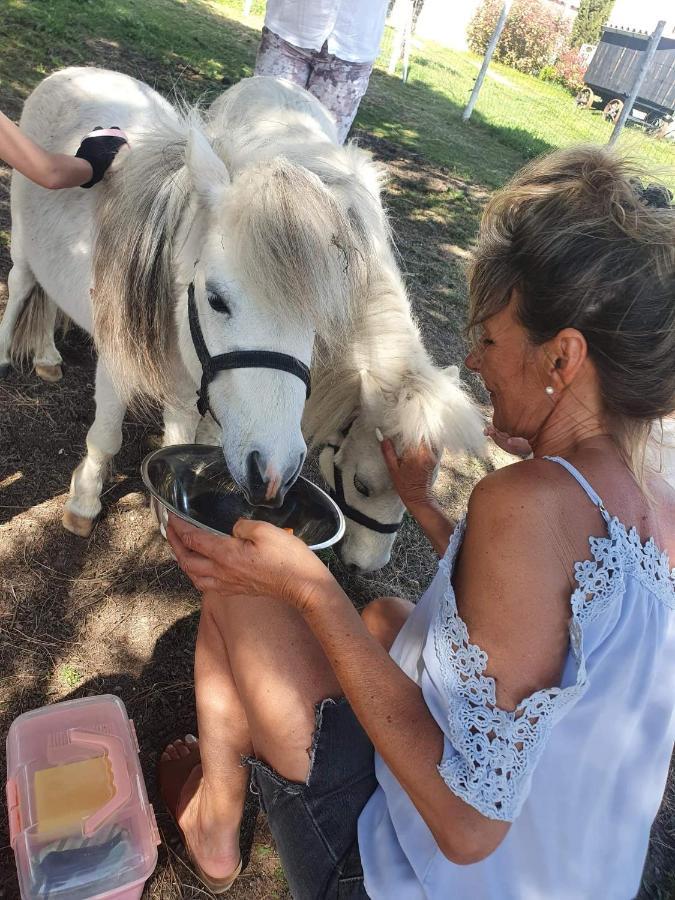 Domaine De La Bergerie Acomodação com café da manhã Périssac Exterior foto